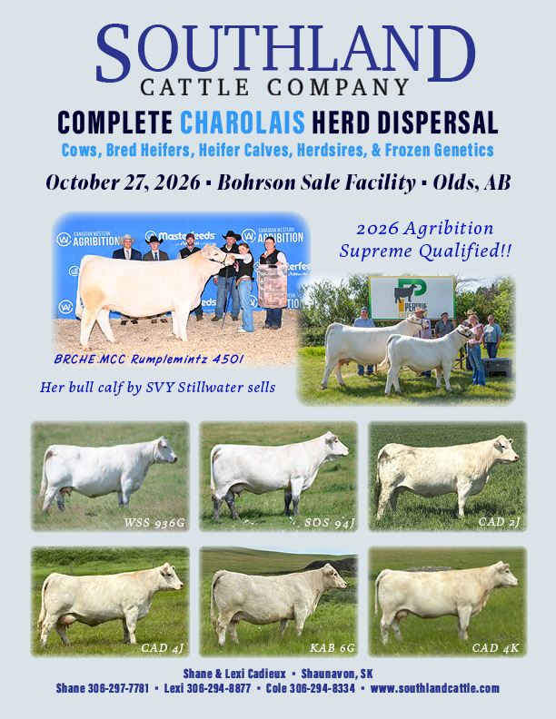 sale poster